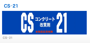 CS21